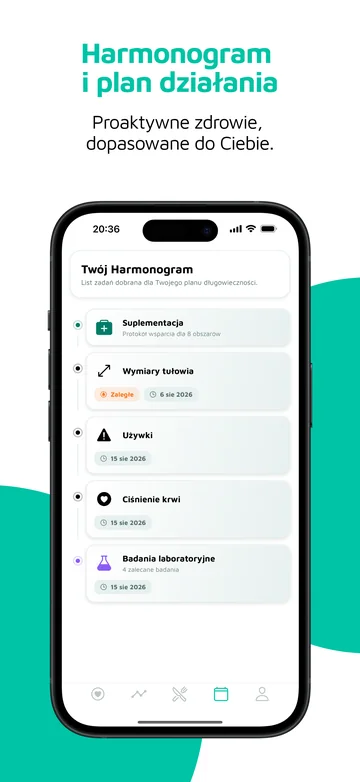 Twój plan: pomiary, badania i kolejne działania